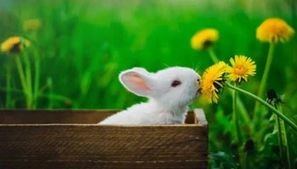 九游下载中心-日本奥运队防守稳健，零封对手，日本队奥运强项