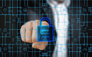 九游app电脑版官方下载-赛事风险管理体系，体育赛事风险管理的主要内容